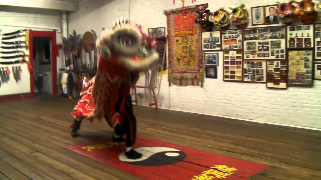camera iphone 8 plus apk Lion Dance