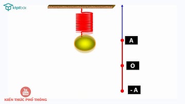 Dao động điều hòa của con lắc lò xo - Vật lí 11.