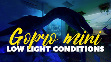 GOPRO HERO 11 BLACK MINI 10BIT Low light performance
