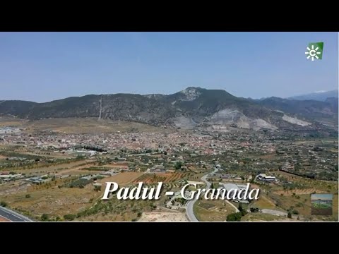 Una laguna con historia, Padul, Granada