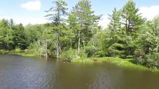 Wisconsin River Tour Cruise, Rhinelander WI