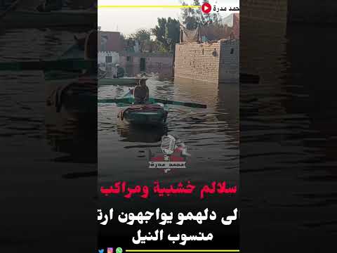 الفيضان وصل المنوفية بالسلالم الخشبية والقوارب أهالى دلهمو يواجهوا إرتفاع منسوب النيل اكسبلور