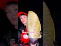 Ріжемо гігантський саворін 🔪