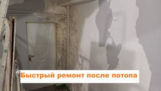 Быстрый ремонт после потопа