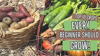 The Top 10 Crops Every Beginner Gardener Should Grow