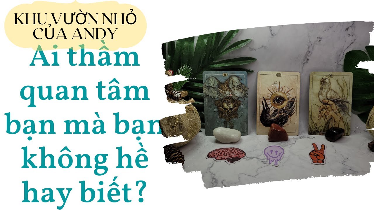 Chọn 1 tụ bài Tarot - Ai thầm quan tâm bạn mà bạn không hề hay biết - Alo Andy