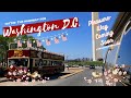 Pleasure-Way Sneak Peek — Hittin&#39; the Highway for Washington D.C. Cherry Blossom Festival