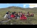 the task for the cattle || Nepal🇳🇵|| lajimbudha || village life || himalayan people ||