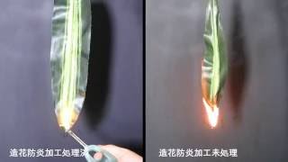 造花防炎加工比較動画　ドラセナ