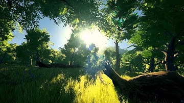 Unreal Engine Weather Effects - University Assignment