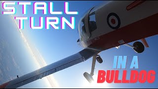 Stall Turn in a Bulldog AirBobba