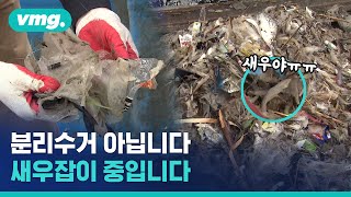 새우를 잡았더니 쓰레기가 나왔다, 인천 앞바다에 무슨 일이? / 비디오머그