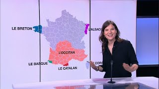 Linguistic treasures: Exploring France's regional languages