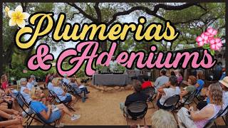 Plumeria & Desert Rose Basics | Live from Hill Country Water Garden - Cedar Park, TX