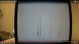 How to run a sample in the NMR