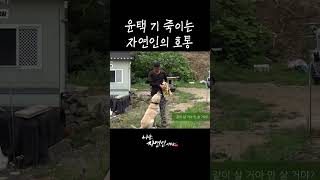 자연인 한 마디에 기 죽은 윤택... #shorts