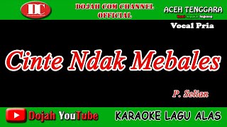 CINTE NDAK MEBALES - P. SELIAN - KARAOKE VERSION ( Vocal Pria )