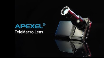 Apexel TeleMacro: From Distant Wildlife to Intricate Details in One Lens