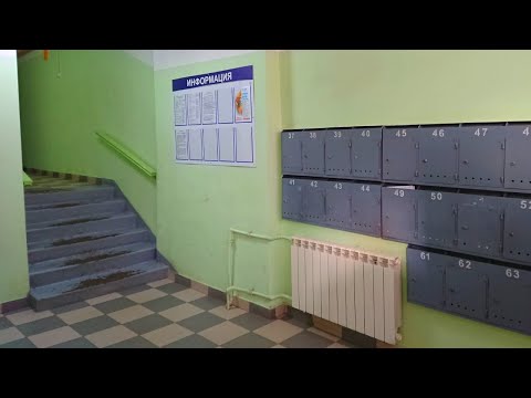 Видео: 13 различных способов, которыми можно одолжить лапу в спасательных приютах, которым это нужно