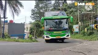 mentahan basuri mengular (cocok buat bussid)