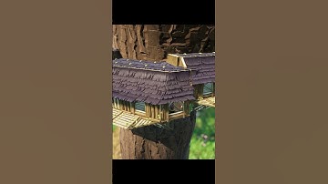 Massive Treehouse Build  #gaming #groundedseries #groundedletsplay #grounded #basebuilding #letsplay