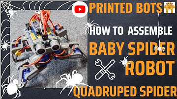 Quadruped Baby Spider Robot Assembly - Printed Bots
