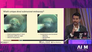 Ai2M Talks - 06 04 Daniel Hashimoto