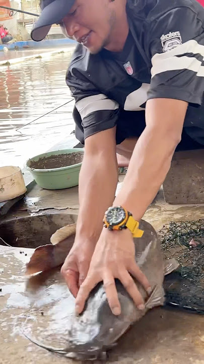 FISHING FOR GREAT CATFISH