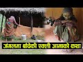 बाघसंग लड्ने आमाको दु:खद कथा || Story of alone old mother || Rabilal Poudel