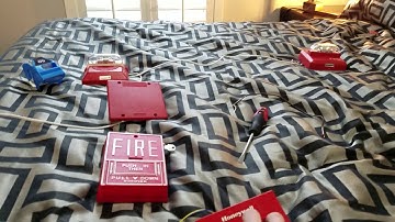 Wheelock DSM demonstration