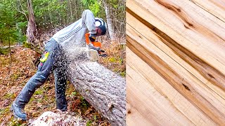 From Downed Aspen Tree to Tiny Cabin Flooring with Alaskan Mill.  #62