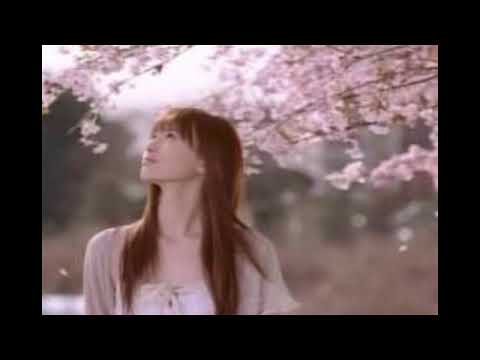 【歌ってみた】ケツメイシ「さくら」