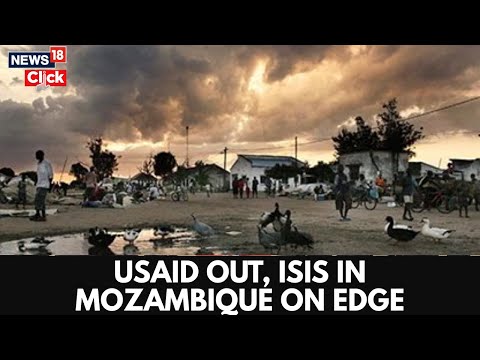 USAID Left A Void In Mozambique ISIS Stepped Into The Vacuum Global Politics N18G USAID Left A Void In Mozambique ISIS Stepped Into The Vacuum Global Politics N18G