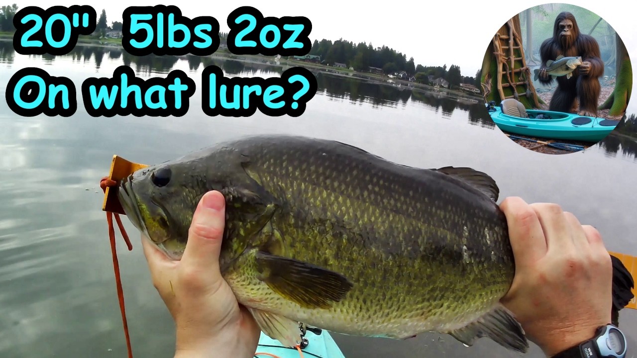 Bass fishing for bigguns! | Kayak bass fishing!
