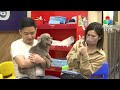 養寵須謹慎 承諾伴一生