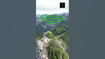 ⭕Why Team Dynamics Matter More Than Ever