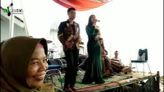 Bimbang Elvy Sukaesih|| Feny Kirana versi koplo cover
