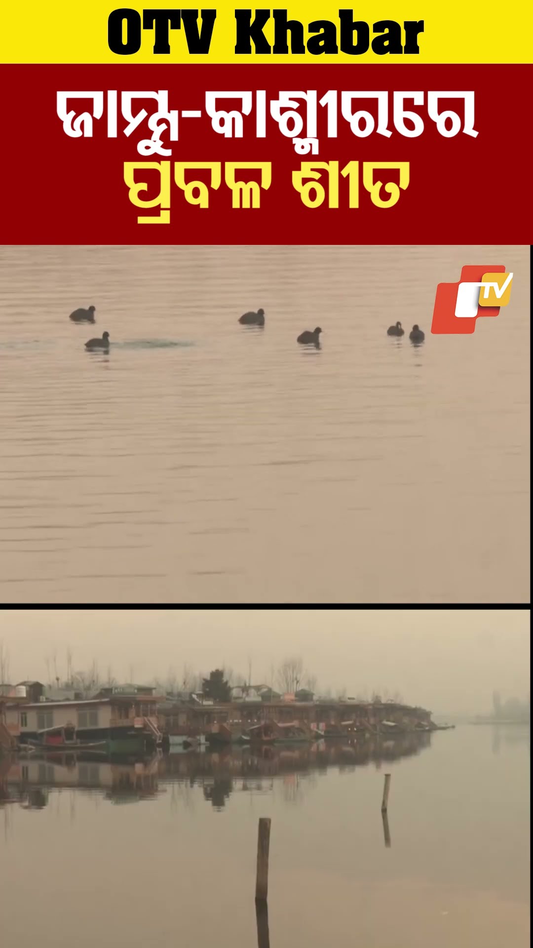 ଜାମ୍ମୁ-କାଶ୍ମୀରରେ ପ୍ରବଳ ଥଣ୍ଡା ! #ColdWave #Srinagar #OTV