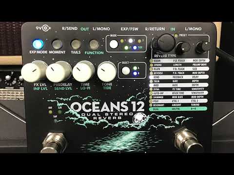Electro-Harmonix Oceans 12 Demo