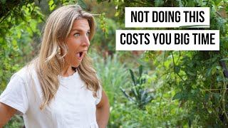Why You Should Hire a Garden Consultant