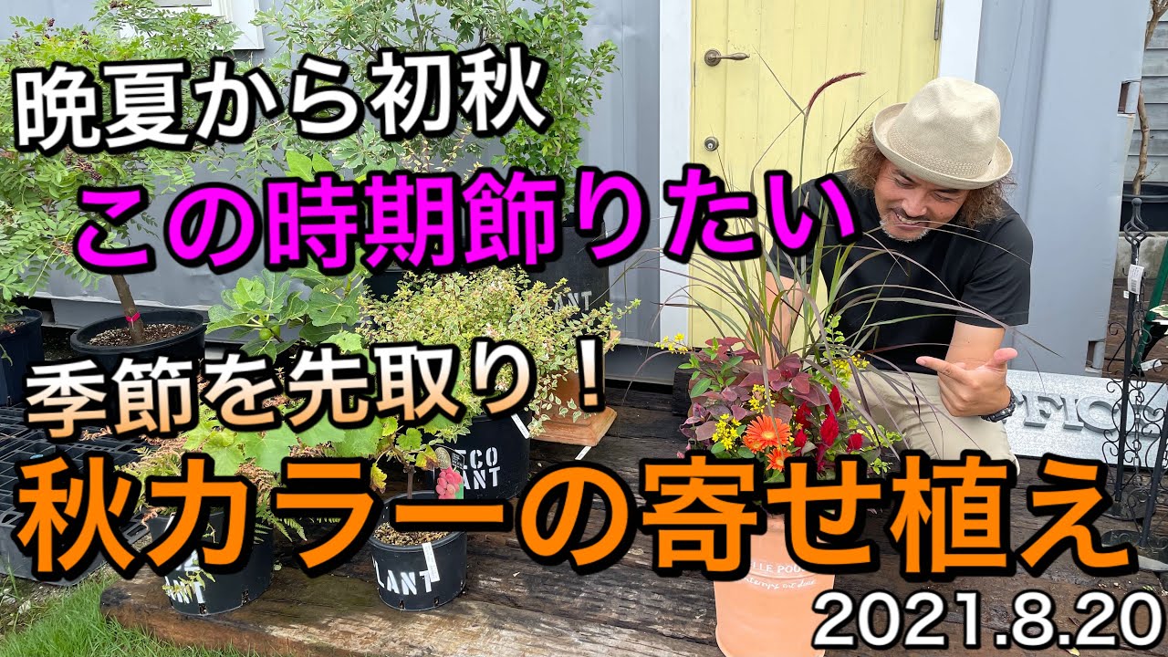 晩夏から初秋を楽しむ！秋カラーの寄せ植え☆