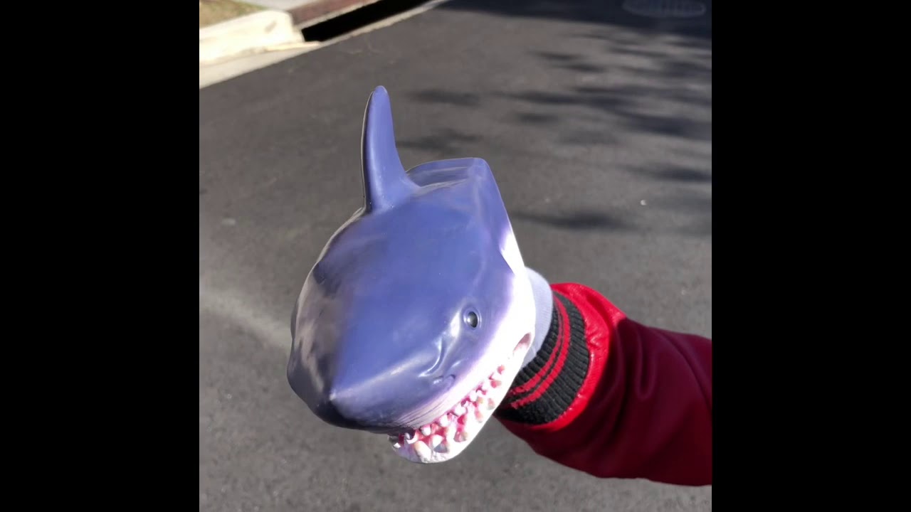 Mr. Shark Lacrosse Day YouTube