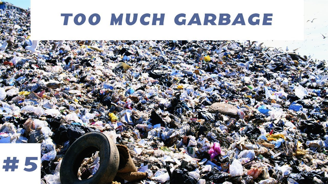 Too Much Garbage CITIES SKYLINES 5 YouTube