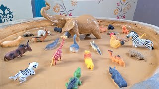 Misja ucieczki z błota: Zwierzęta z dżungli, farmy i lasu w tarapatach z błotem screenshot 3