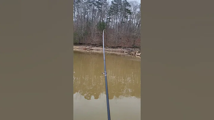 Winter Bass Fishing on Lake Lanier January