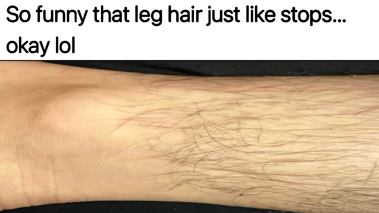 MEMES WHICH ARE FUNNY