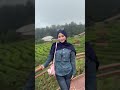 Kebun teh nya berkabut🤣 #shorts #fypシ