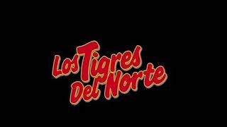 Los Tigres del Norte - José Pérez León.