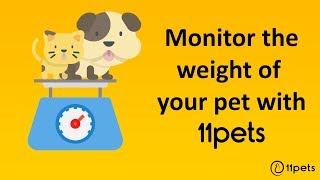 How to monitor the weight of your pet with 11pets: Pet Care screenshot 2