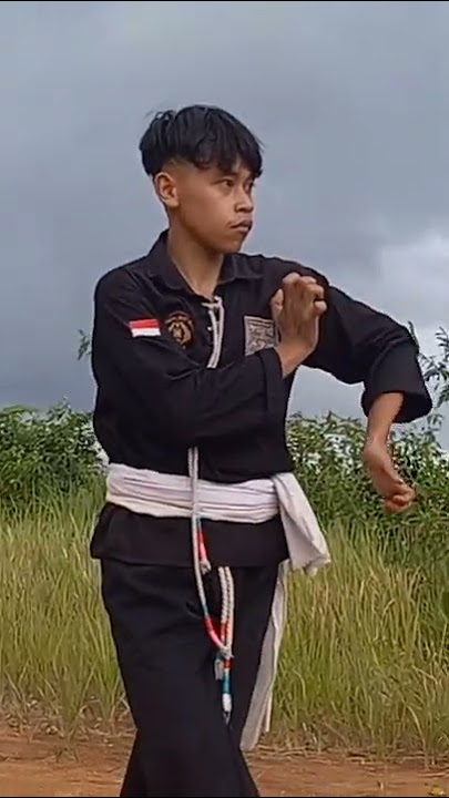 PSHT GERAK  WAYANGAN KEREN